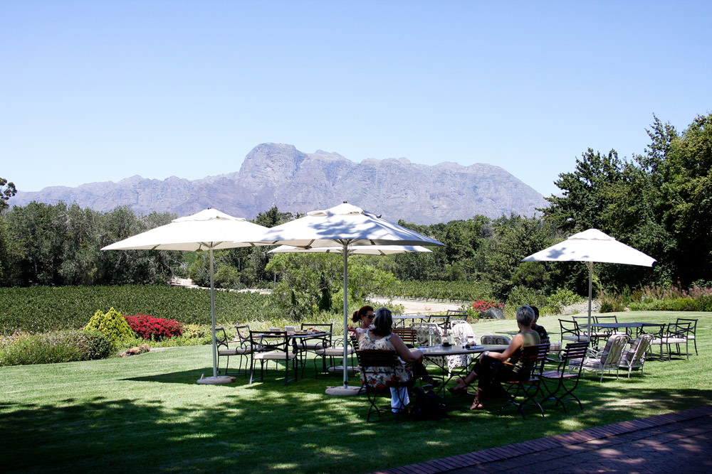 lunch in the winelands